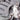 Guardian-Jacket-Inside-Pocket-through-Solace-min - Remlite