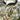 Kaibab300-Top-Pocket-Summit - Remlite