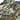 Kaibab300-pant-logo - Remlite