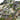 Kaibab300-pant-logo - Remlite