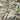 Nebo-Jacket-Front-Pocket-Summit-min - Remlite