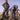 PP2 - Remlite