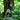 Untitled_design_6 - Remlite