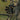 Velocity-Gloves-Bow - Remlite