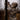 SKRE Women’s Hardscrabble hunting jacket in camo pattern