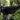 Discover the Lightest Ultralight Hammock in New Zealand and Australia: Meet the Elfy by Remlite - Remlite