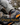 All Hunting & Outdoor Boots