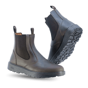 Gladstonecombo - Remlite 