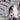 Guardian-Jacket-Inside-Pocket-through-Solace-min - Remlite 