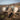 KMT-Summit2-min - Remlite 