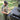 Venture Flex Pant - Remlite