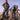 PP2 - Remlite 